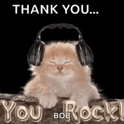 a kitten wearing headphones is sitting on a rock with the words `` thank you ... you rock ! ''