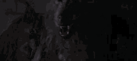 a couple of werewolves with their mouths open in the dark .