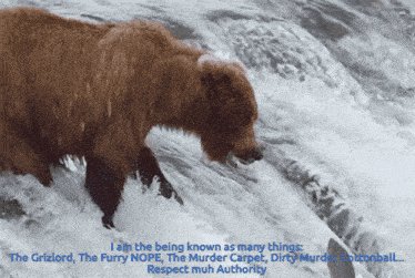 a brown bear standing in the water with the words " i am the being known as many things " on the bottom
