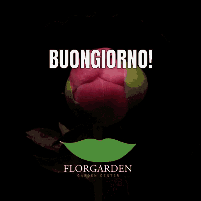 Florgarden Buongiorno GIF - Florgarden Buongiorno Fiorire GIFs