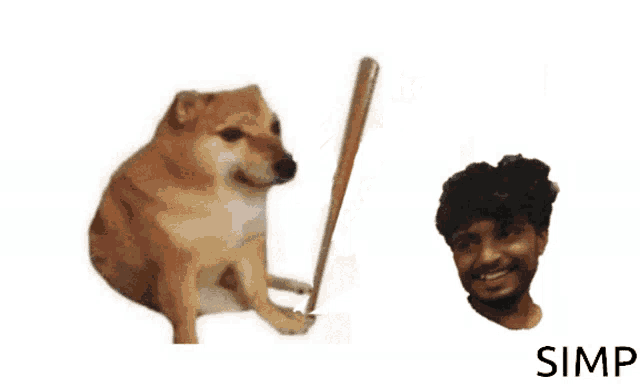 a dog is holding a bat next to a man 's head and says `` go to horny jail bonk simp '' .