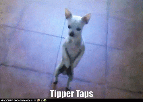 Tipper Taps GIF - Tipper Taps GIFs