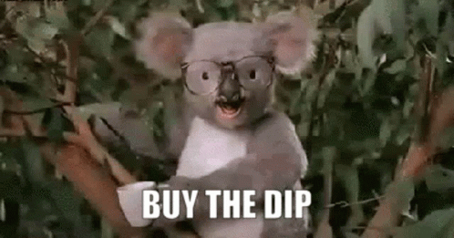 Koala Buy The Dip GIF - Koala Buy The Dip Punch GIFs