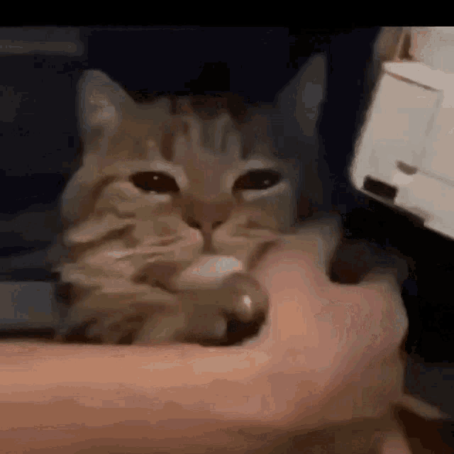 Sadge GIF