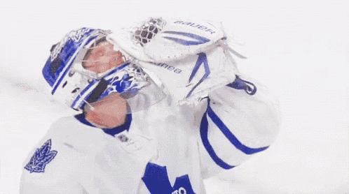 Toronto Leafs GIF