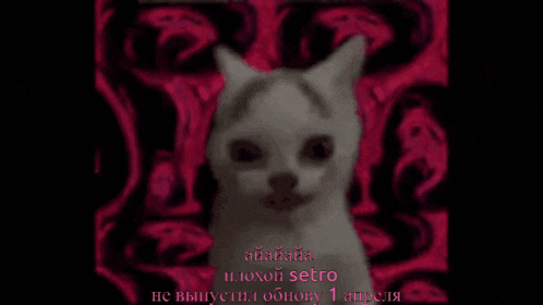 a picture of a cat with a red background and the words " aiaaiia " written on it