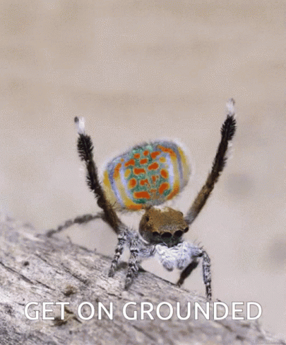 Grounded Grounded Game GIF