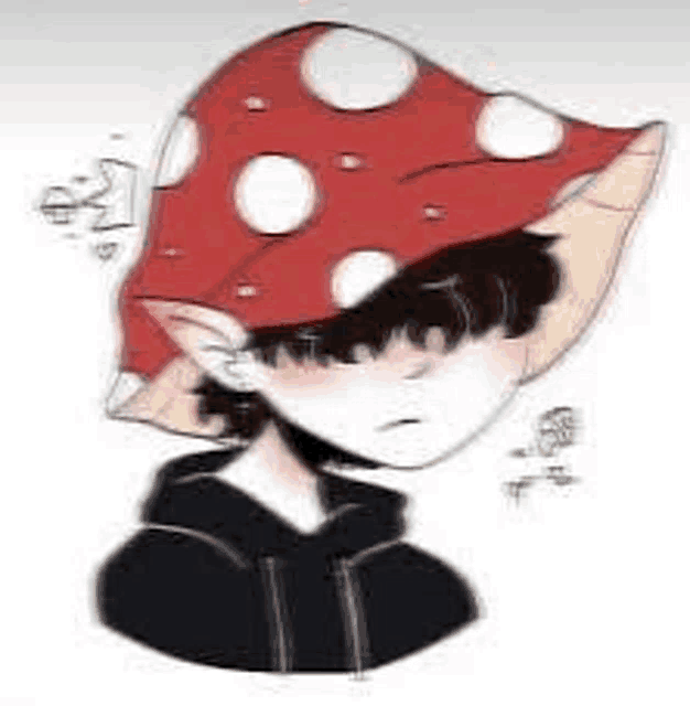 a drawing of a boy wearing a mushroom hat and a black hoodie .