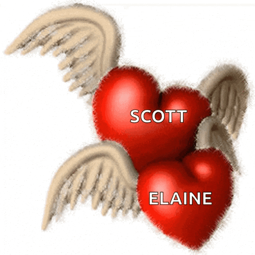 a couple of red hearts with the names scott and elaine written on them