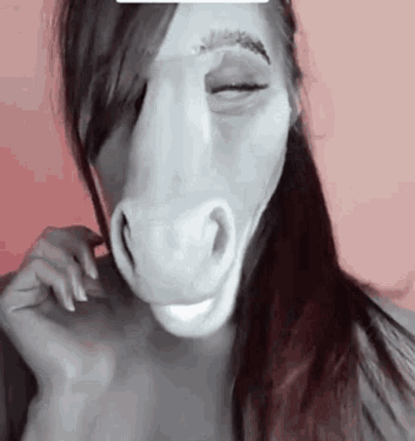 Aesuky Horsey GIF - Aesuky Horsey Horse Makeup GIFs