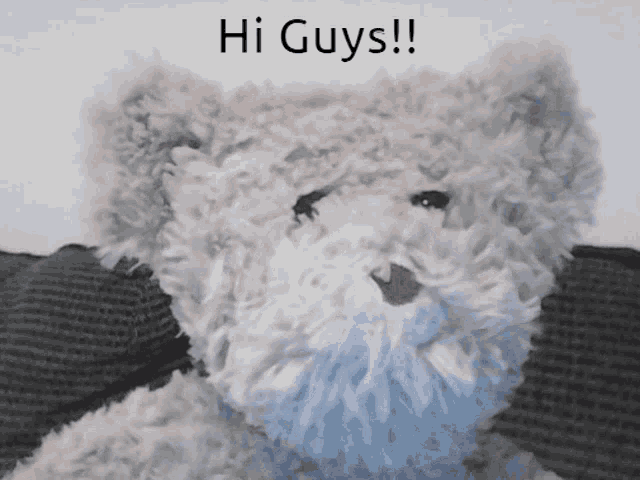 a picture of a stuffed animal with the words hi guys below it