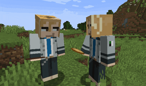 two minecraft characters are standing next to each other in a grassy field