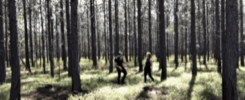 two people are walking through a forest filled with trees .