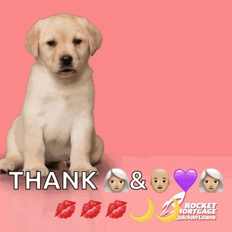 a picture of a dog with the words happy valentine 's day on it