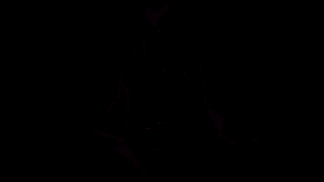 a man in a black shirt is surrounded by feathers flying around him in a dark room .