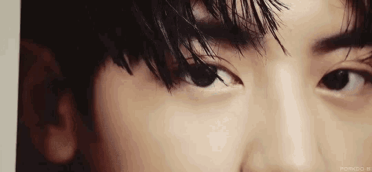 a close up of a person 's eyes with a very long eyebrow .