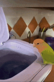 a green and orange bird sits on top of a white washing machine
