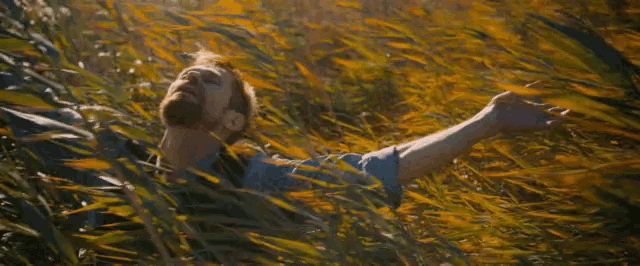 a man is laying in the tall grass with his arms outstretched .
