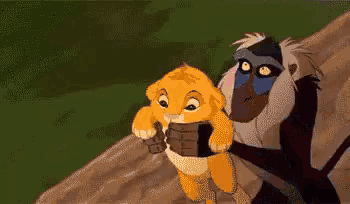 a monkey is holding a lion cub in its arms .