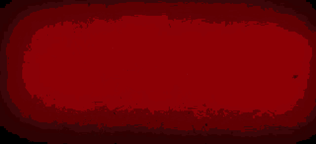 a drawing of a man holding a sword in front of a red background that says die ugly
