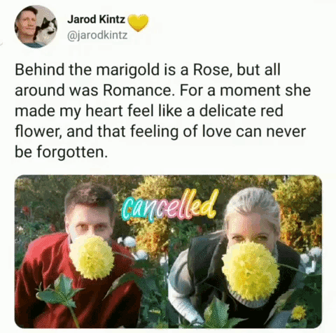 Romance Rose GIF - Romance Rose Marigold GIFs