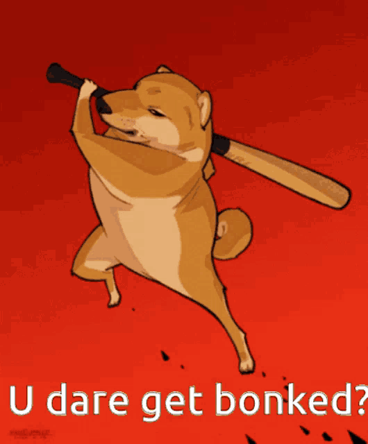 a picture of a dog holding a baseball bat with the words u dare get bonked below it