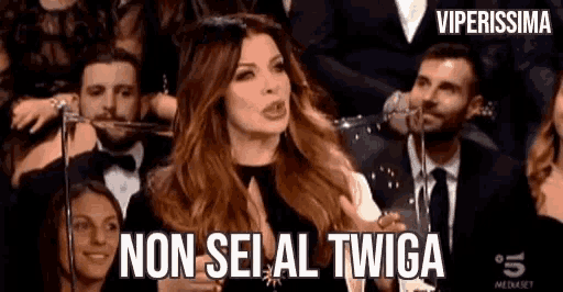 a woman is sitting in a crowd with the words non sei al twiga above her
