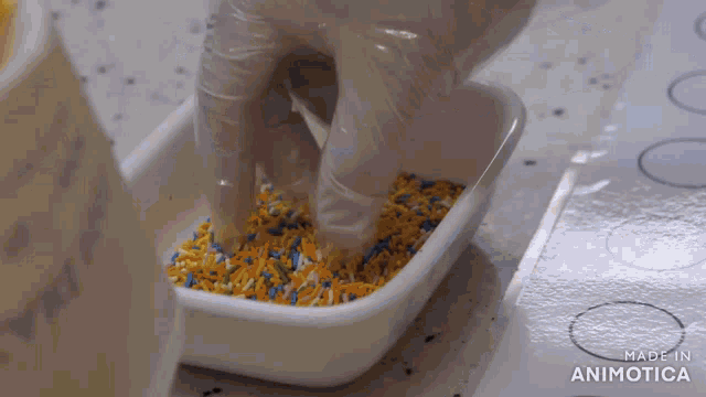 a person is putting sprinkles in a bowl that says made in animonica