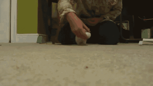 a small white rabbit playing with a white ball on the floor