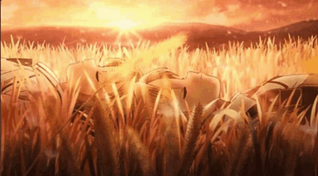 a couple of people laying in a field with the sun shining through the grass