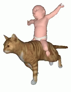 Cat Riding Fun Baby GIF - Cat Riding Fun Baby GIFs