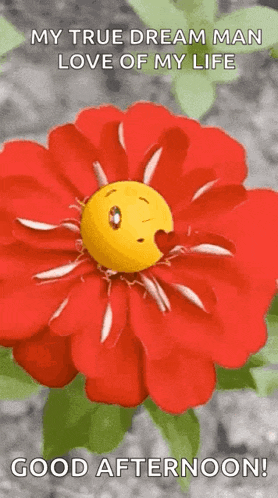 a red flower with a yellow smiley face on it and the words `` my true dream man love of my life good afternoon ''