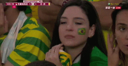 Brazil Football Fans GIF - Brazil Football Fans GIFs