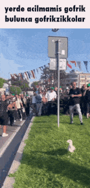 Oguz Alper Oktem Gofrik GIF