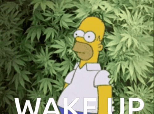 Weed Homer Simpson GIF - Weed Homer Simpson Homer GIFs