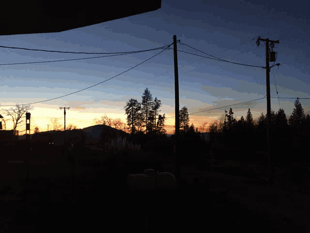 a sunset with telephone poles in the foreground and trees in the background