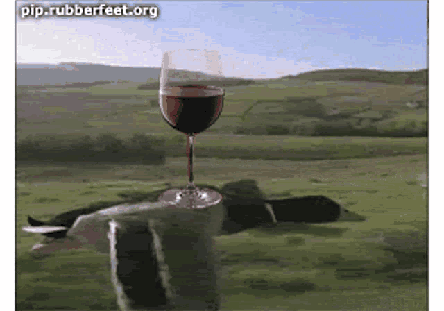 a picture of a person laying on the ground next to a glass of wine