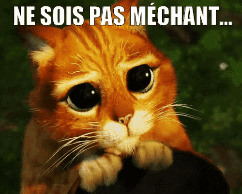 a picture of a cat with the words ne sois pas mechant below it