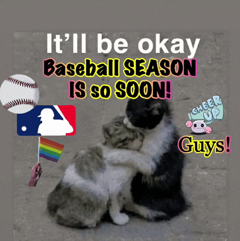 a picture of two cats hugging with the words it 'll be okay baseball season is so soon guys