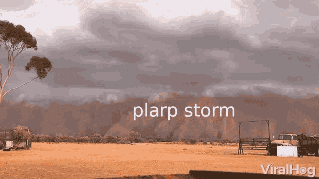 Plarp Storm GIF - Plarp Storm Plarp Storm GIFs