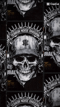 a skull with headphones and a hat with terror noise division written on it