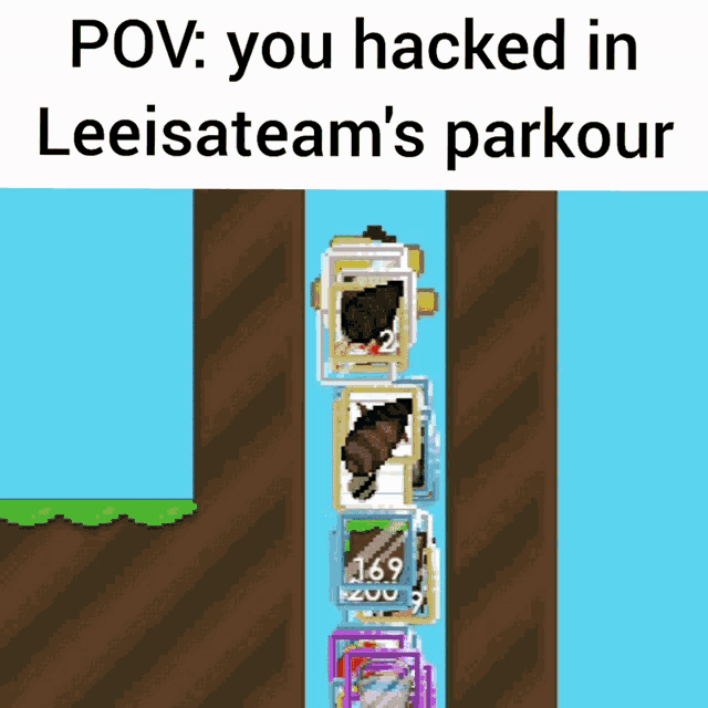 a screenshot of a video game with the words " you hacked in leisateam 's parkour "