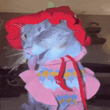 a cat wearing a pink sweater and a red hat is sticking its tongue out