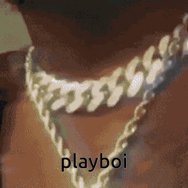 Playboi GIF - Playboi GIFs