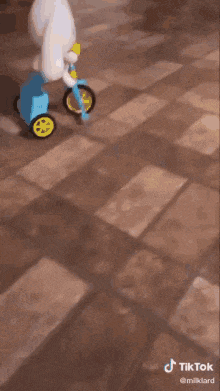 a dog is riding a tricycle on a tile floor .