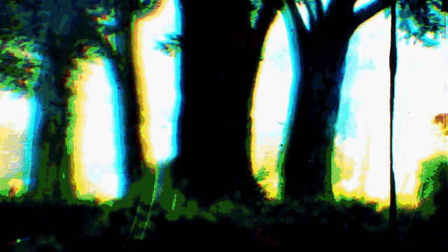 a painting of a forest with trees in the foreground