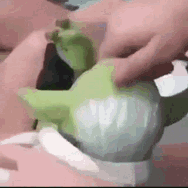 a person is holding a green toy that looks like a dinosaur .