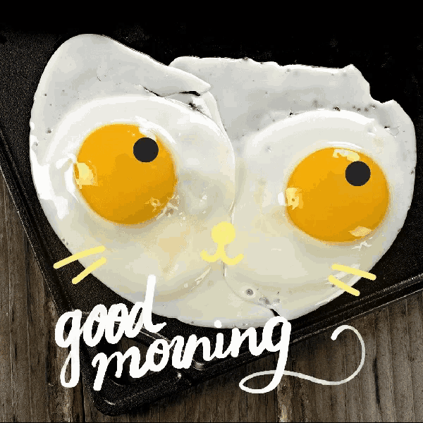 Good Morning Eggs GIF - Good Morning Eggs GIFs