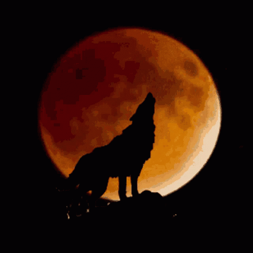 Howling At The Moon GIF - Howling At The Moon GIFs