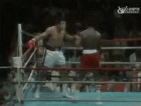Boxing Muhammadi GIF - Boxing Muhammadi Ali GIFs